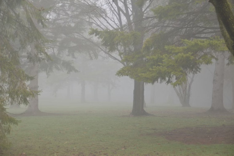 Indy Wakes To Soup-Thick Fog As Soaking Rains Raise Flood Risk