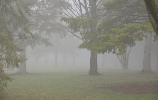Indy Wakes To Soup-Thick Fog As Soaking Rains Raise Flood Risk