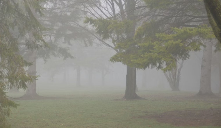Indy Wakes To Soup-Thick Fog As Soaking Rains Raise Flood Risk