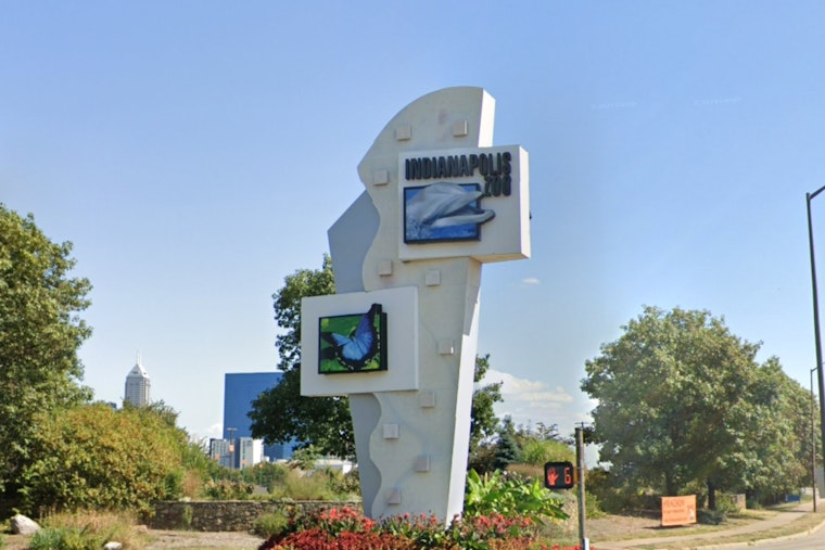 Indy Zoo CEO Rob Shumaker Resigns After Leave