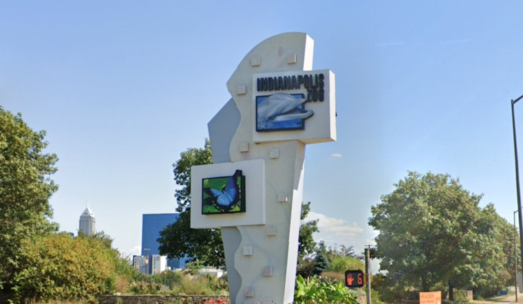 Indy Zoo CEO Rob Shumaker Resigns After Leave