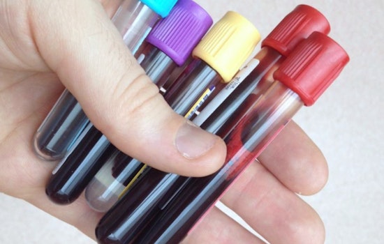 Jehovah's Witnesses Loosen Blood Rules, Let Flock Stash Their Own Supply