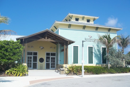 Juno Beach Turtle Hospital Swamped as 65 Patients Pour In