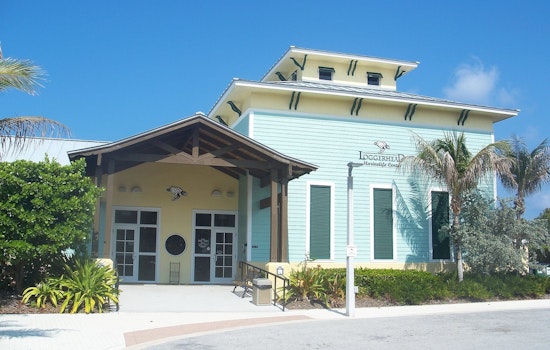 Juno Beach Turtle Hospital Swamped as 65 Patients Pour In