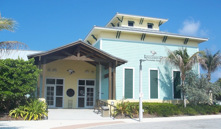 Juno Beach Turtle Hospital Swamped as 65 Patients Pour In