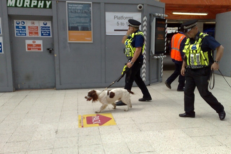 K-9, GPS Trail Pin Alleged Arsonist In North Phoenix Strip-Mall Blaze