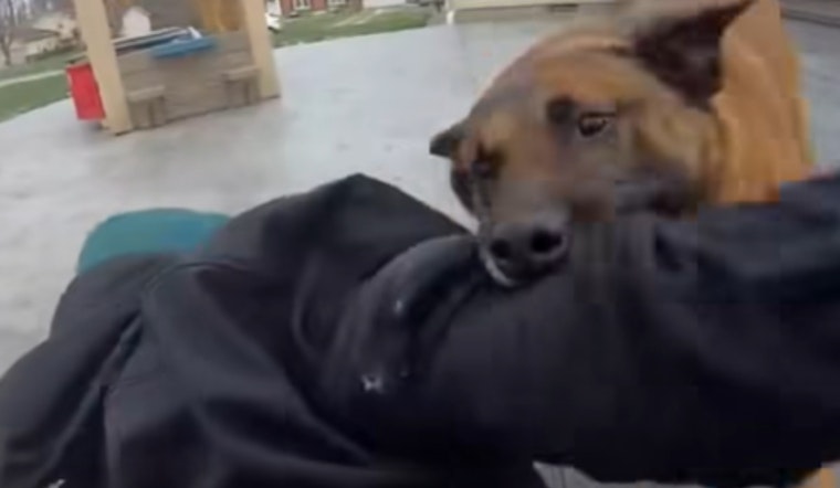 VIDEO: K-9 Hero Hector Runs Down Armed Suspect in Rootstown Roadside Chase