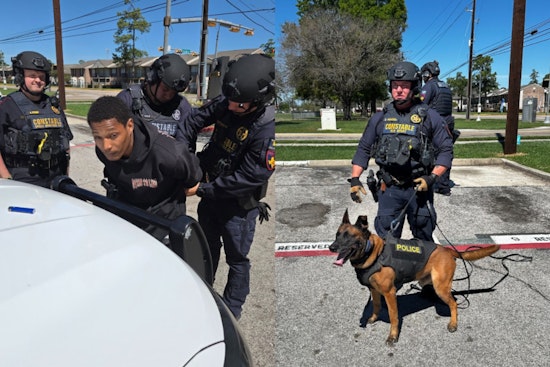 K-9 Mattress Mack Helps Precinct 4 Snag Suspect In Wild Spring Window Escape