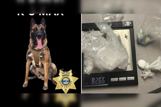K-9 Max Turns Finley Traffic Stop Into Major Drug Bust