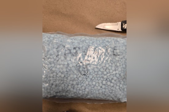 K-9 Quinn Helps King County Deputies Collar 40,000 M-30 Fentanyl Pills