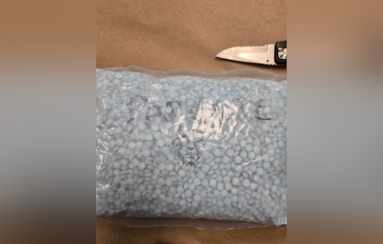 K-9 Quinn Helps King County Deputies Collar 40,000 M-30 Fentanyl Pills