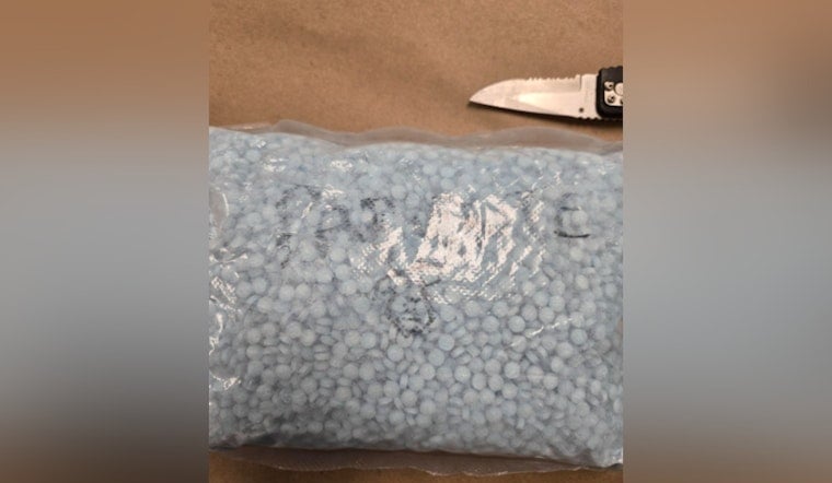 K-9 Quinn Helps King County Deputies Collar 40,000 M-30 Fentanyl Pills
