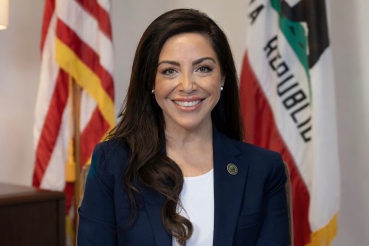 Kate Sanchez Bets Big On Tax Break To Tame California Home Insurance Crisis