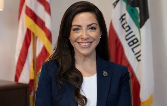 Kate Sanchez Bets Big On Tax Break To Tame California Home Insurance Crisis