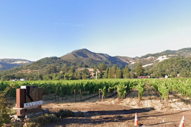 Korbel Owner Quietly Reclaims Shuttered Kenwood Vineyard In Sonoma Shake-Up