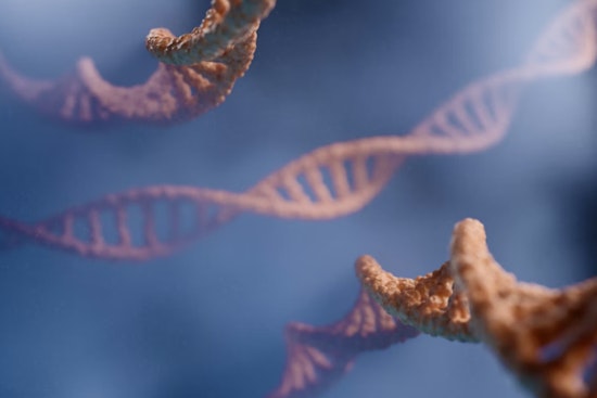 Korro Scores $85 Million Lifeline After Trial Setback for Cambridge Biotech