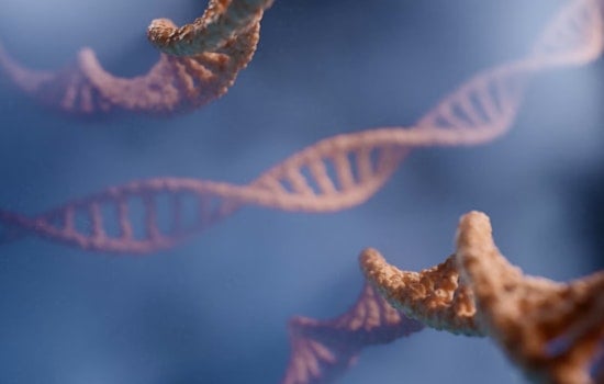 Korro Scores $85 Million Lifeline After Trial Setback for Cambridge Biotech
