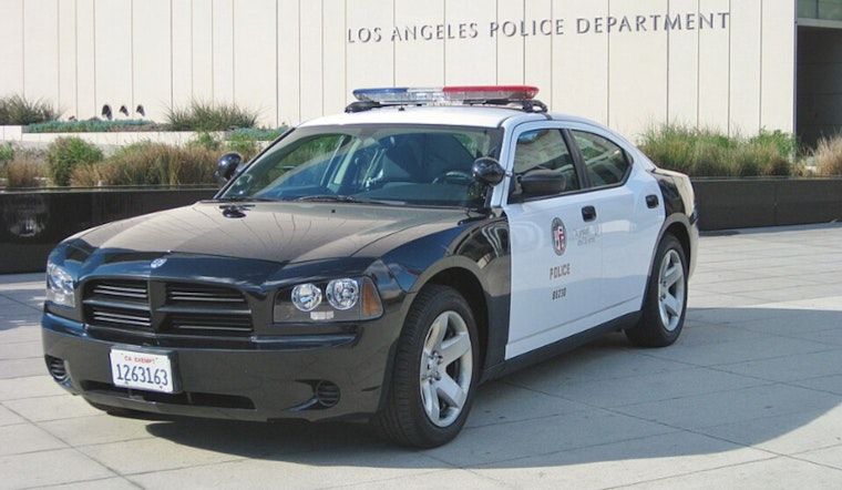 L.A. Charter Panel Advances Plan to Increase City Hall Oversight of LAPD