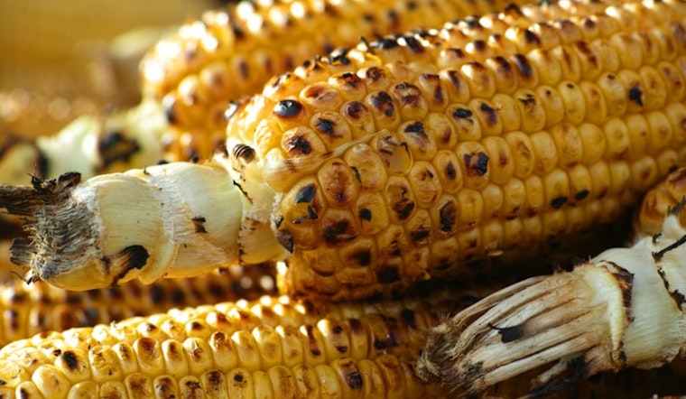 La Jolla Lab Star Maps ‘Safe’ Food Bits in Gut, Raising Hopes for Future Allergy Fixes