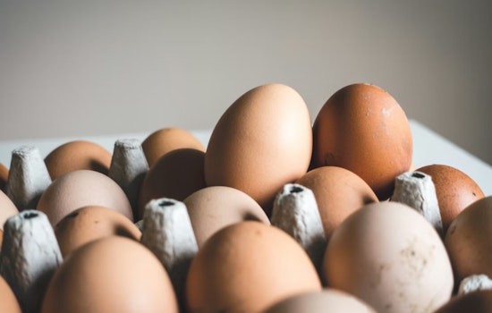 LA Judge Dismisses DOJ Egg-Price Lawsuit