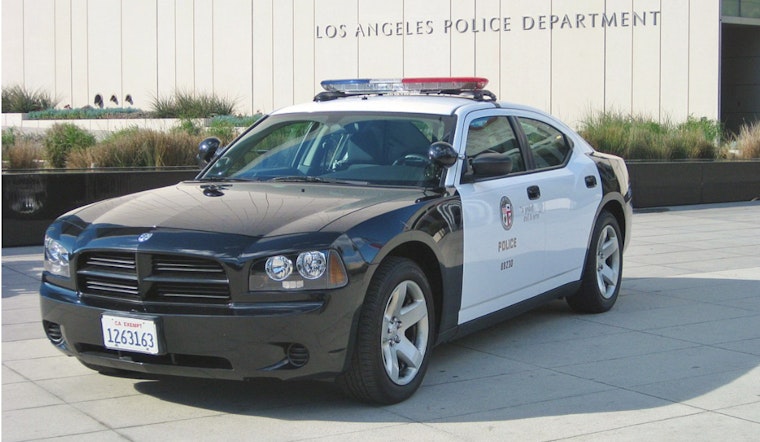 LA Protester Files $100M Claim After Alleged Eye Injury