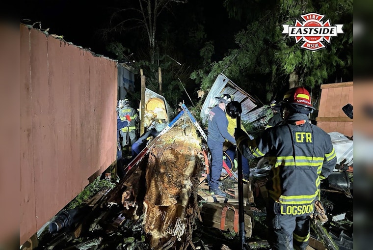 Lake Joy Road Shock As Tree Traps Camper And Live Wires Snarl Rescue