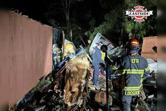 Lake Joy Road Shock As Tree Traps Camper And Live Wires Snarl Rescue