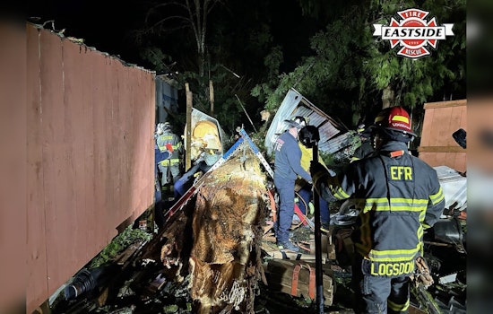 Lake Joy Road Shock As Tree Traps Camper And Live Wires Snarl Rescue