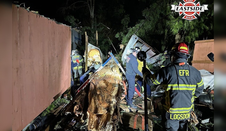 Lake Joy Road Shock As Tree Traps Camper And Live Wires Snarl Rescue