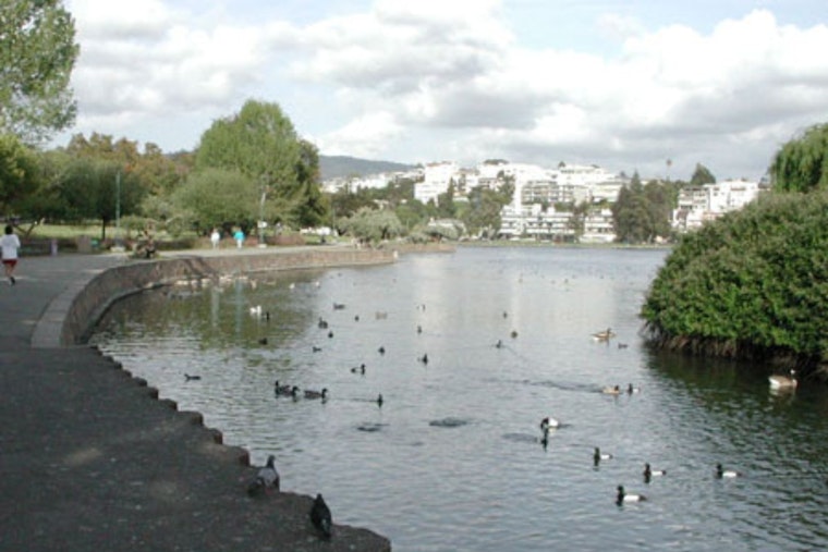 Lake Merritt Hate Tags Rattle Jewish Neighbors As Oakland Cops Zero In