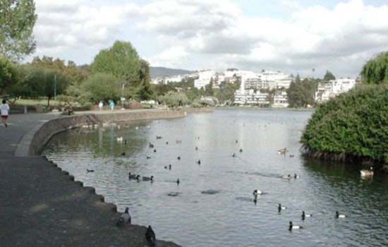 Lake Merritt Hate Tags Rattle Jewish Neighbors As Oakland Cops Zero In