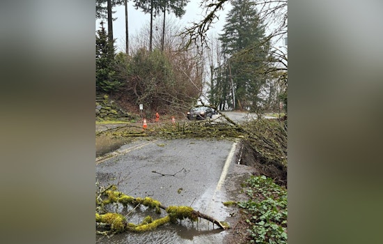 Landslide Shuts Down SW Fairmount, Turns Portland Hill Road Into No-Go Zone