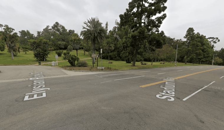 LAPD Seeks Driver After Elysian Park Hit-And-Run