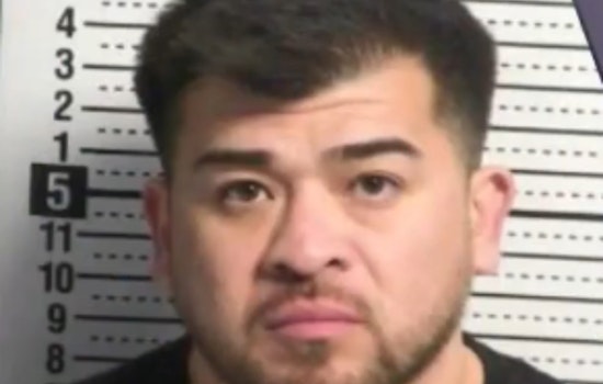 Las Cruces Dog Stoning Video Lands Owner 18 Months Behind Bars