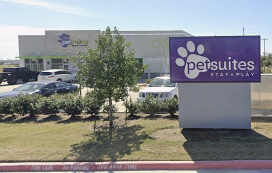 League City Goldendoodle Dies At Groomer, Cops Nab Suspect At Motel