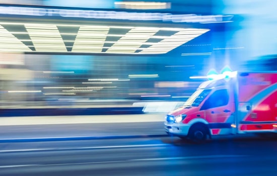 Lenox Raid Uncovers Guns, Drugs After 911 Medical Call
