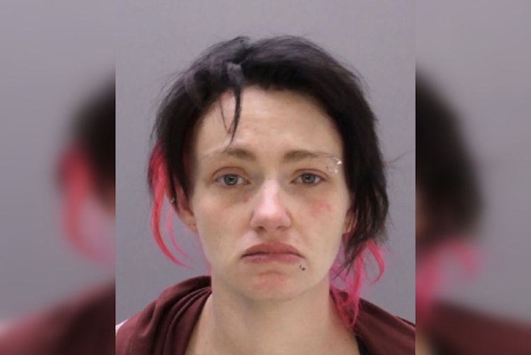 Levittown Walmart Shock: Toddler Knocked Out After Alleged Leash Drag