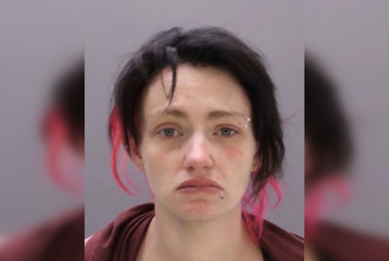 Levittown Walmart Shock: Toddler Knocked Out After Alleged Leash Drag