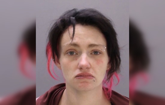 Levittown Walmart Shock: Toddler Knocked Out After Alleged Leash Drag
