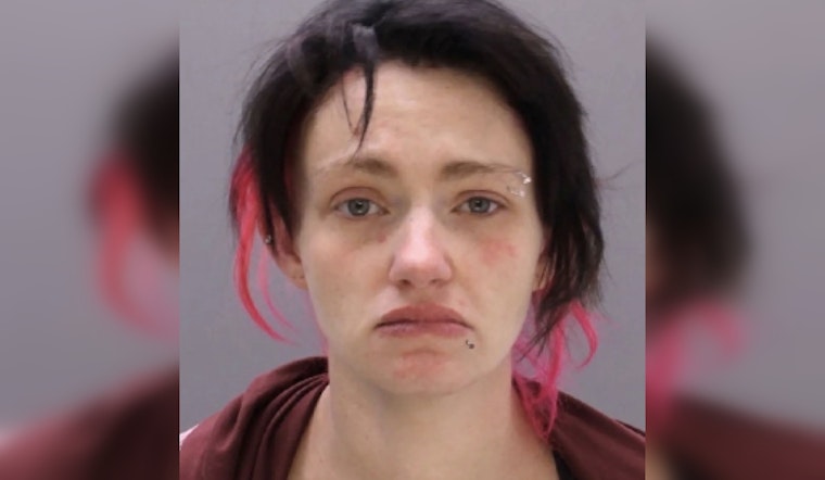 Levittown Walmart Shock: Toddler Knocked Out After Alleged Leash Drag