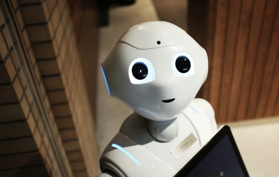Lonely New York Seniors Turn To Talking Robots For Company
