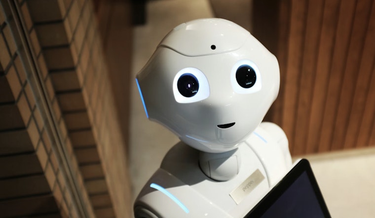 Lonely New York Seniors Turn To Talking Robots For Company
