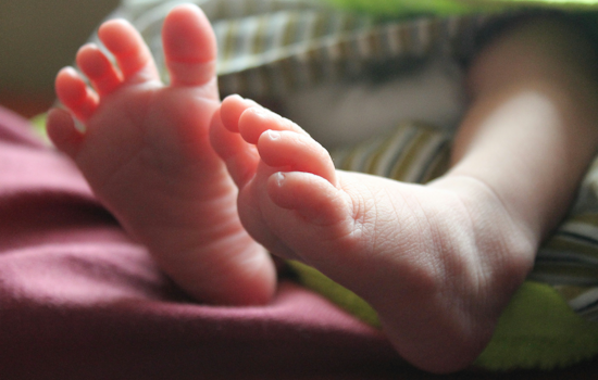 Longwood Fertility Clinic Rocked By Second Lawsuit After Surrogate Baby Dies