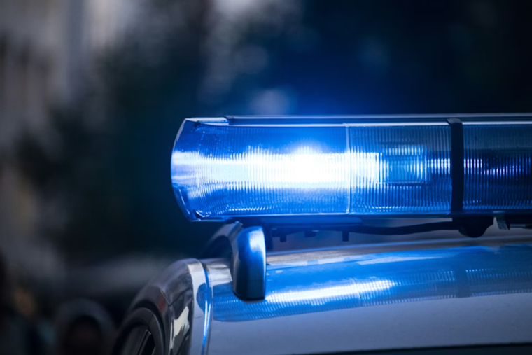 Loose Dog Mauls Osceola Woman In Front Yard Attack