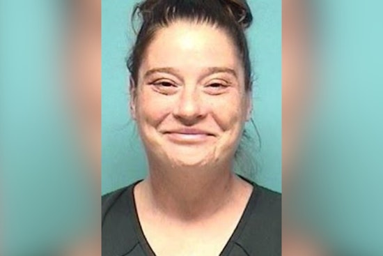 Lorain Arsonist Gets 5 to 7 Years After Brownell Ave Inferno Levels Two Homes