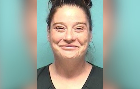 Lorain Arsonist Gets 5 to 7 Years After Brownell Ave Inferno Levels Two Homes