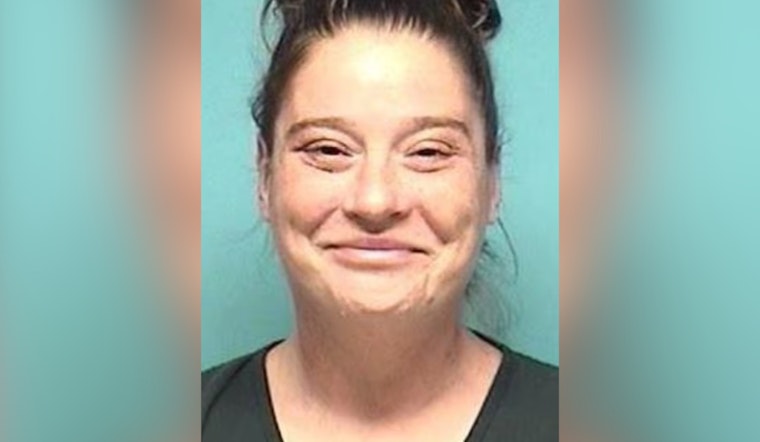 Lorain Arsonist Gets 5 to 7 Years After Brownell Ave Inferno Levels Two Homes