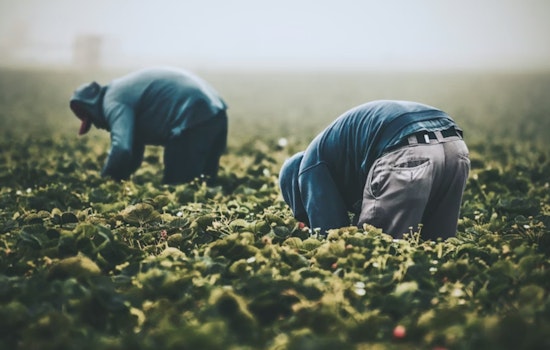 Los Angeles Renames Chávez Holiday To Farm Workers Day