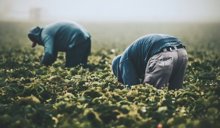Los Angeles Renames Chávez Holiday To Farm Workers Day