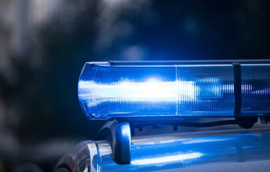 Lowell Cops Nab Suspect in Late-Night Car Break-In Spree